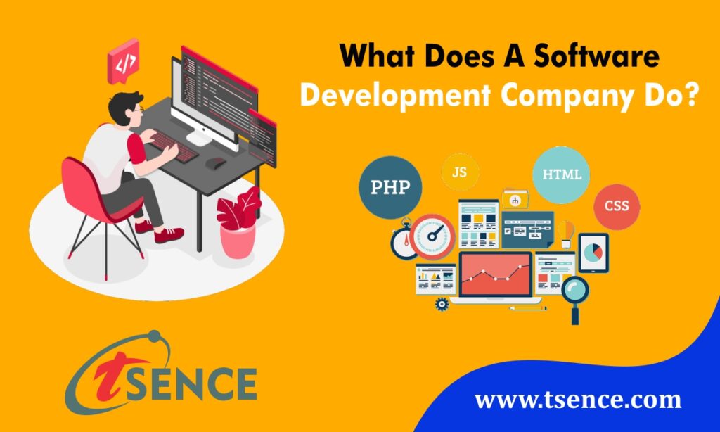 what-does-a-software-development-company-do-website-designing-company