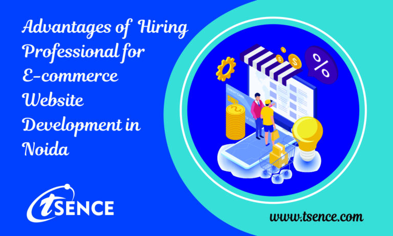 Advantages of Hiring Professional for E-commerce Website Development in Noida